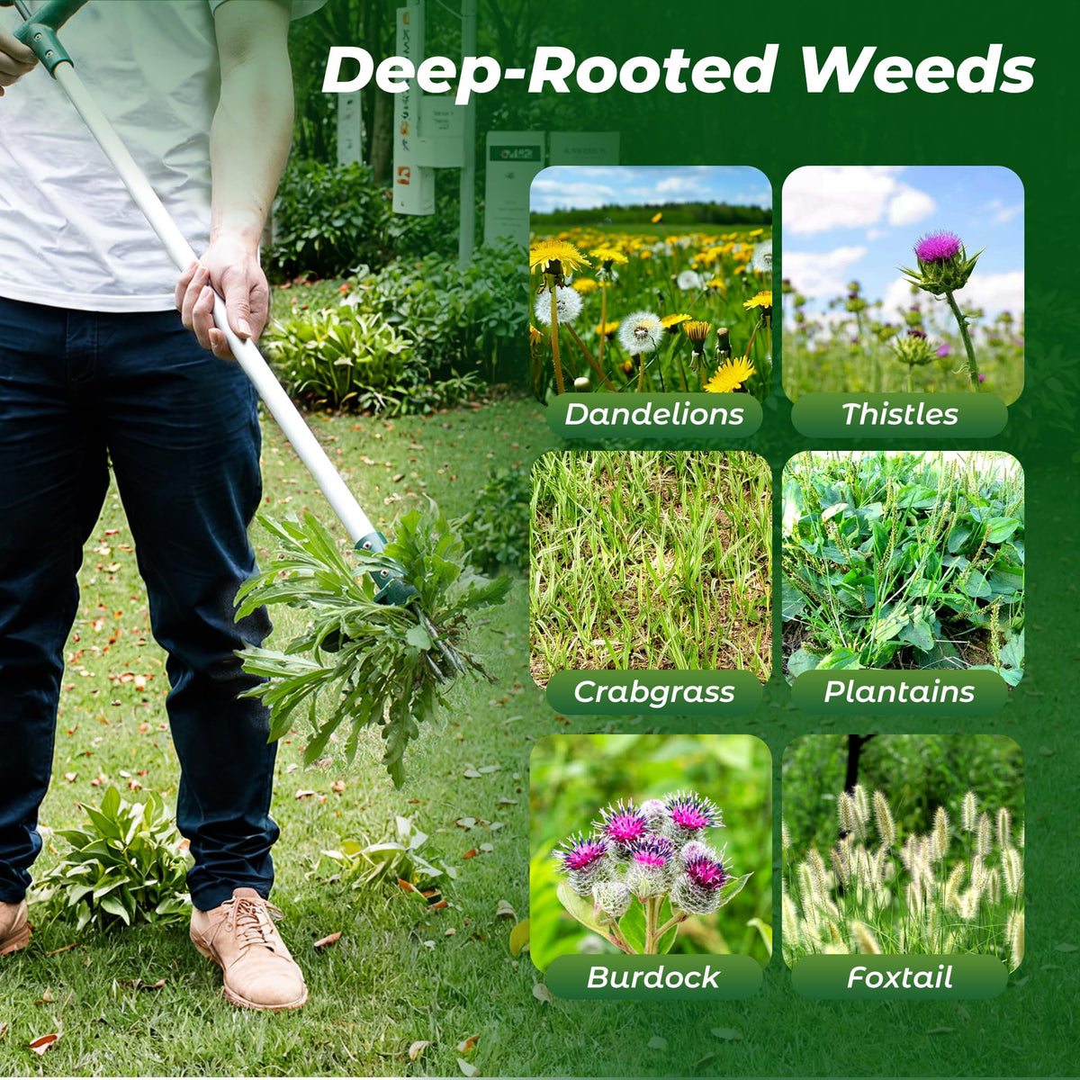 Walensee Stand-Up Weed Puller (No Bending)