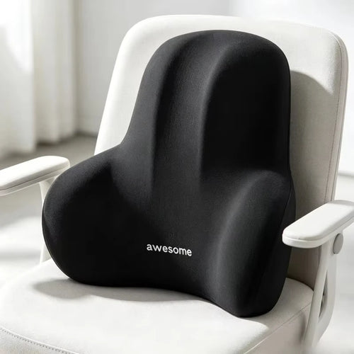 2-in-1 Seat Cushion and Lumbar Pillow